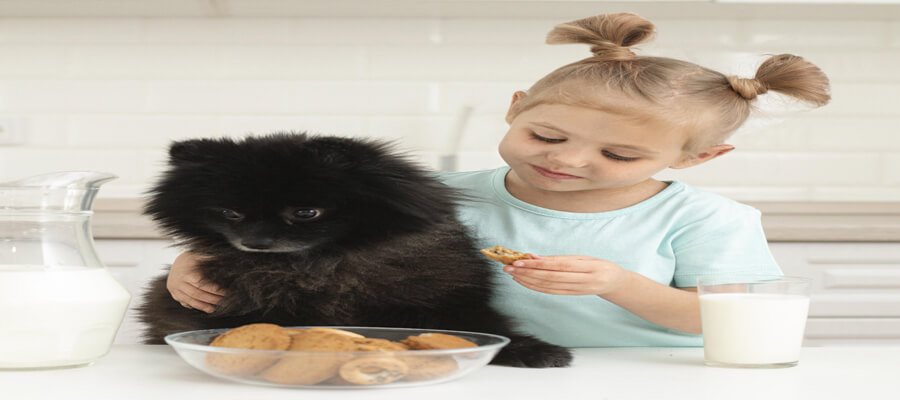 "What to Feed a New Puppy: Essential Nutrition Tips for New Owners"